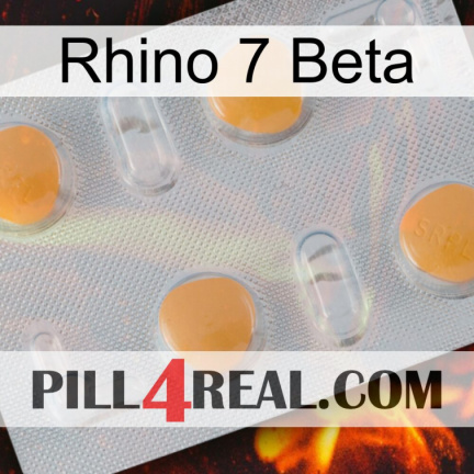 Rhino 7 Beta 24